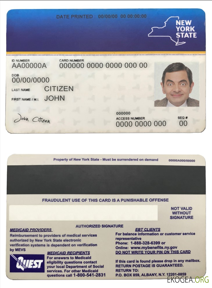 Carte Medicaid de l'État de New York aux États Unis